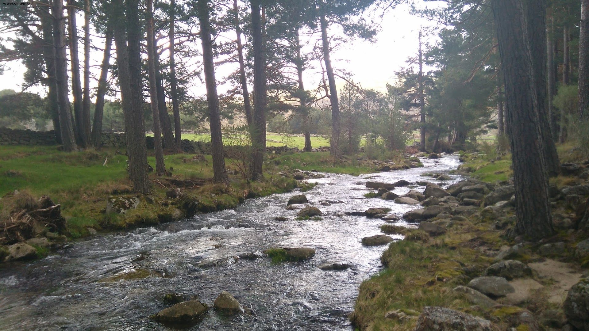 El Yantar De Gredos Photos El Yantar De Gredos Videos