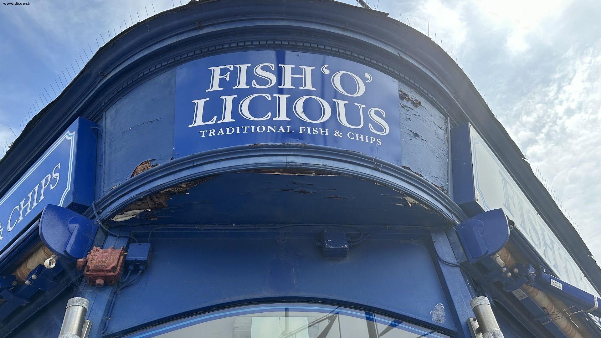 Fish'o'licious Photos, Fish'o'licious Videos