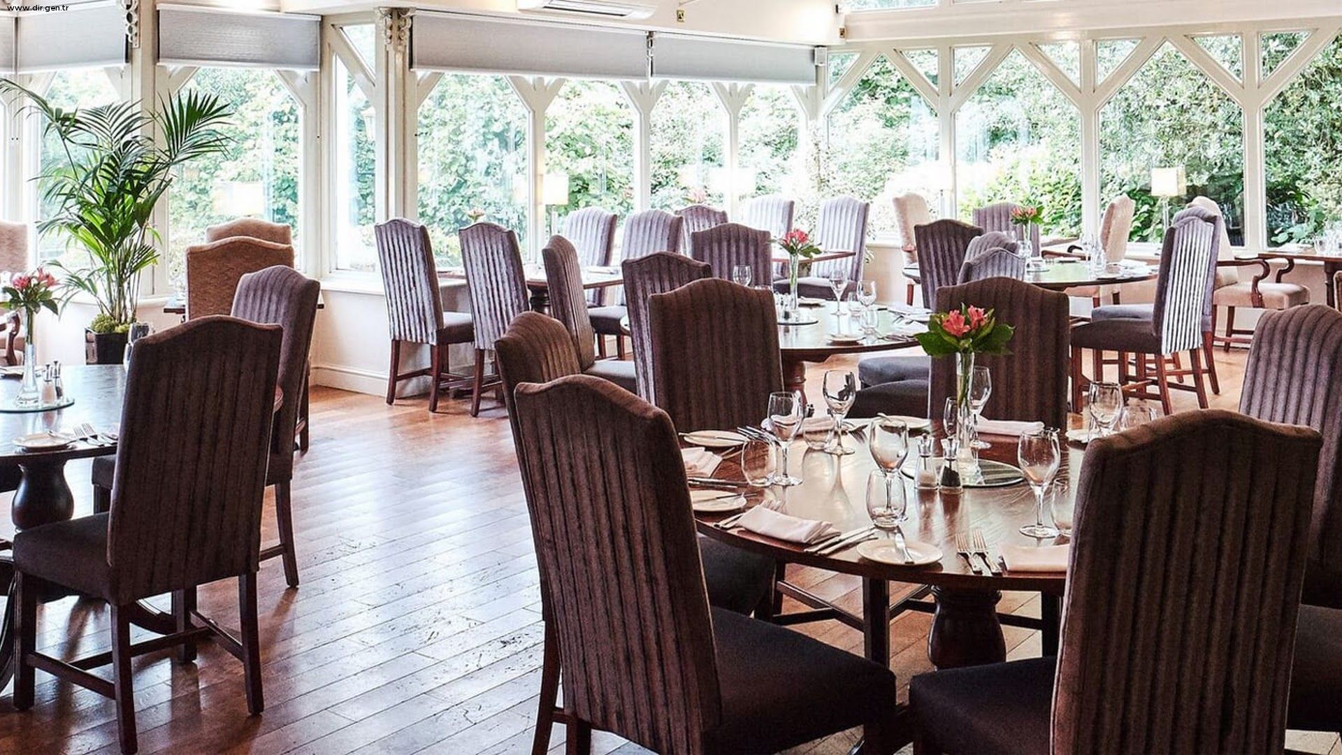 Orangery Restaurant at the Moat House Photos, Orangery Restaurant at ...