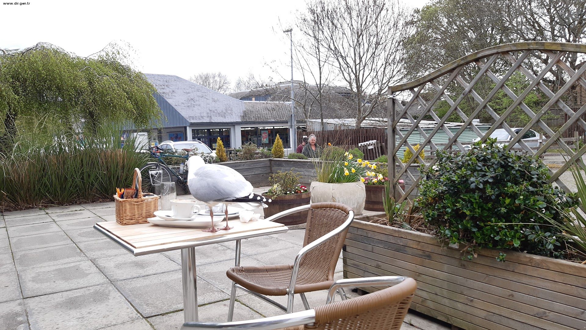 Courtyard Coffee Shop & Cafe United Kingdom Courtyard Coffee Shop ...