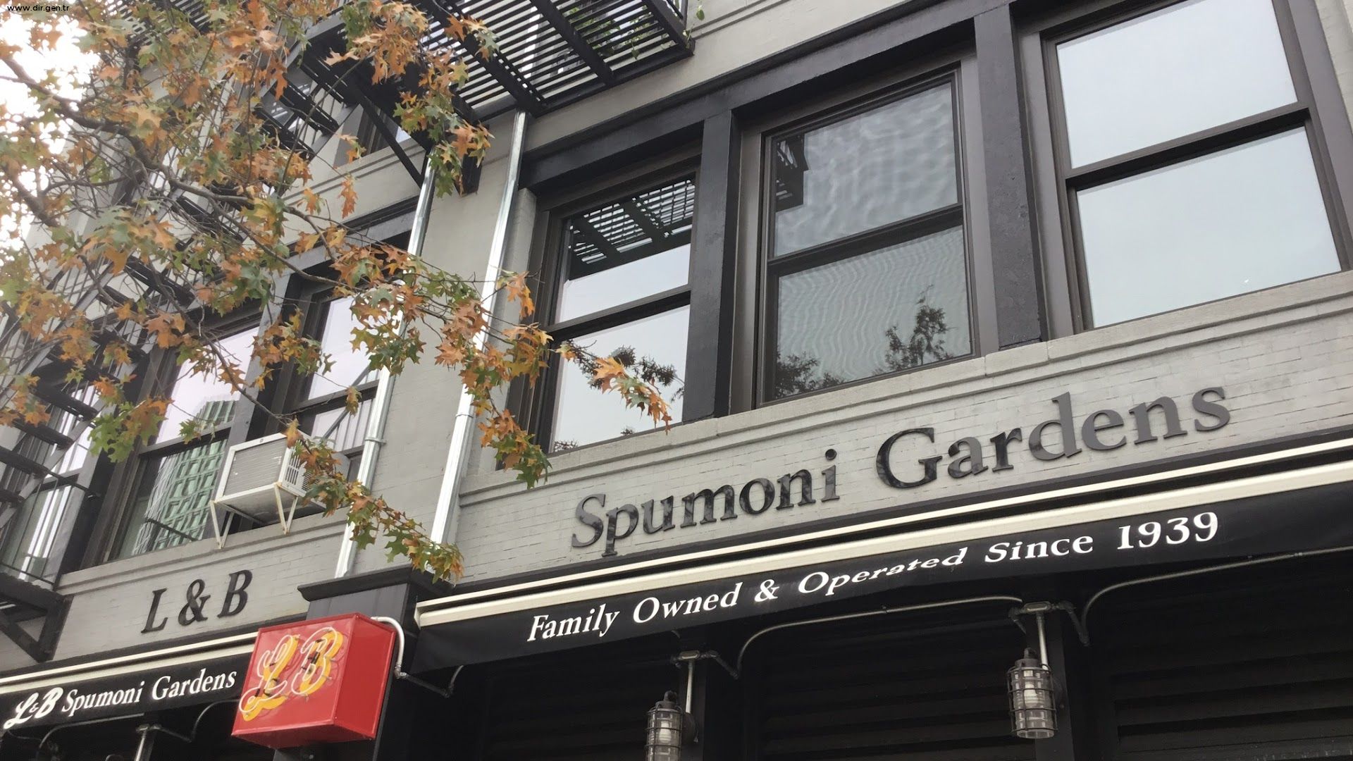 L&B Spumoni Gardens NY L&B Spumoni Gardens Telephone, Photos, Video ...