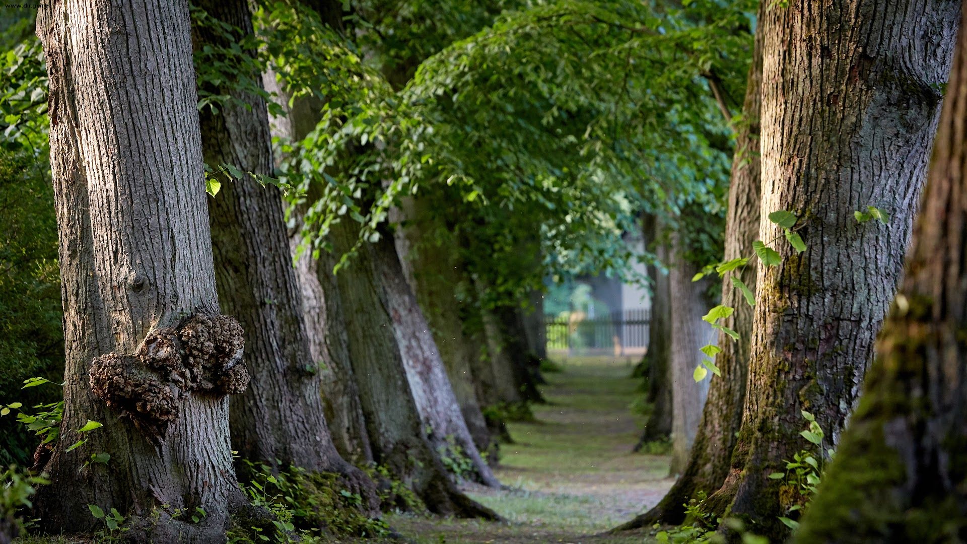 Schloss Kaarz mit Park Photos, Schloss Kaarz mit Park Videos