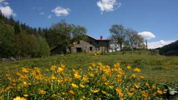 Casa Rural Abatetxe Landetxea