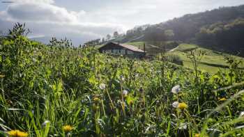 Otardi Landa Aterpetxea / Otardi Albergue turístico