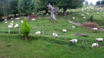 Casa Rural ALUSTIZA Landaetxea