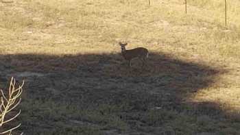 Santa Rosa Campground & RV Park