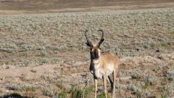 Concho Hills Guest Ranch