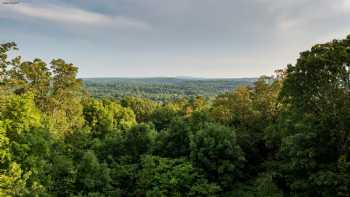 Skyline View Cabins