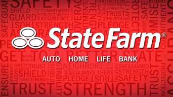 David Hild - State Farm Insurance Agent