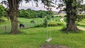 Heritage Hollow, an experiential farm