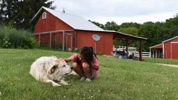 Heritage Hollow, an experiential farm