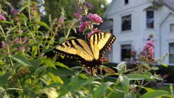 Fox River Bed and Breakfast