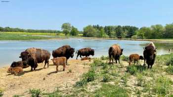 Wildlife Prairie Park