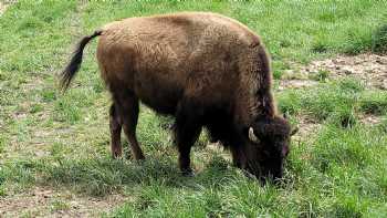 Wildlife Prairie Park