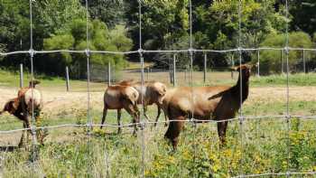 Wildlife Prairie Park