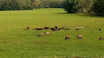 Wildlife Prairie Park