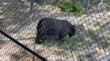 Wildlife Prairie Park