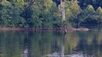 Barren Creek Cottages