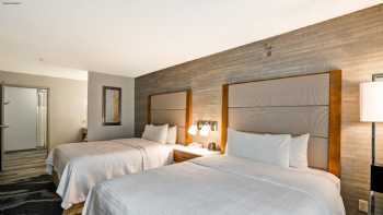 Homewood Suites by Hilton Chicago-Downtown