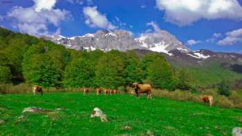 Alojamientos Rurales El Encanto de Picos de Europa