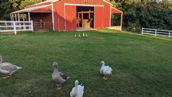 Heritage Hollow, an experiential farm