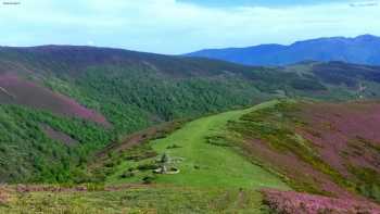 El Cordal de Laciana Albergue Turístico Alojamiento Villablino