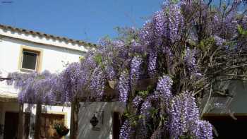 River Ebro Holidays Casa Siempre B&B