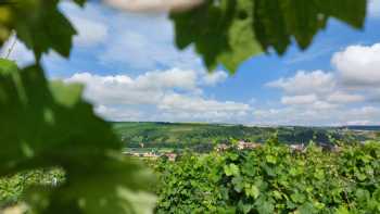 Weingut Hofmann Röttingen