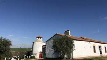 Cortijo Viña del Duco - Azuaga -