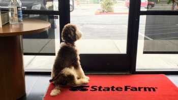 Paul Arguello - State Farm Insurance Agent