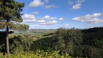 Finca Buenvino