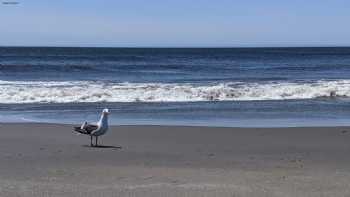 Port Orford