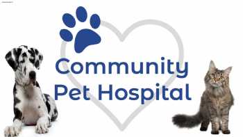 Community Pet Hospital, A Thrive Pet Healthcare Partner