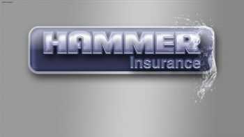 Hammer Insurance Services Inc.