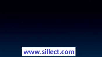 Sillect Insurance Services Inc.