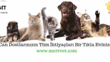 CEYHAN MERT VETERİNER KLİNİĞİ