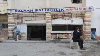 Dalyan Balıkçılık