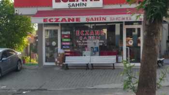 Eczane Şahin