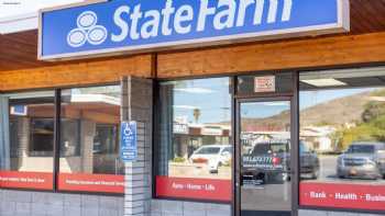 Tracy Terraneau - State Farm Insurance Agent