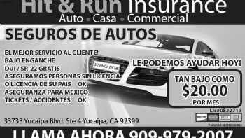 Hit and Run Insurance Services