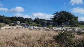 Liisberg & Company | The Sea Ranch Real Estate Team