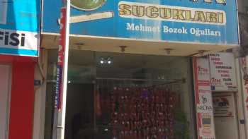 BOZOK SUCUKLARI