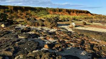 Mahana Beach