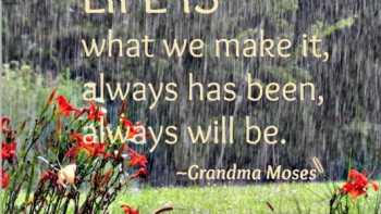 Tricia Morris, Nationally Certified Mediator, Advisor & CDFA. ON-LINE