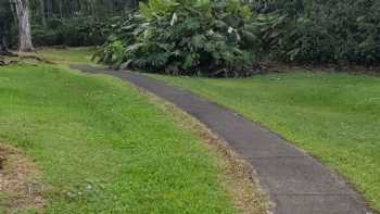 Lava Tree State Monument