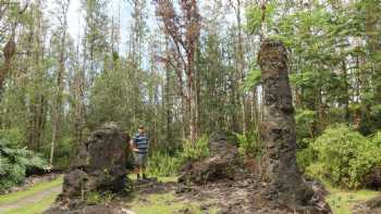 Lava Tree State Monument