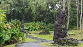 Lava Tree State Monument