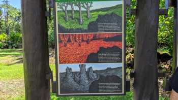 Lava Tree State Monument