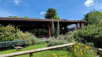 Island Restaurant Paignton zoo