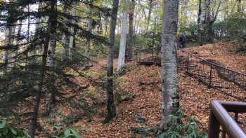 Güzeldere Şelalesi Tabiat Parkı